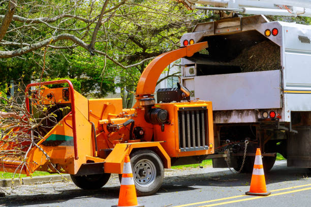 Trusted Michigan Center, MI Tree Services Experts